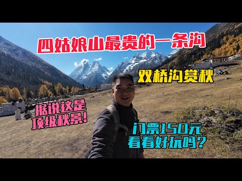 自駕川西來四姑娘山最貴的一條溝雙橋溝賞秋，據說這裡有頂級秋景，門票150元，看看好玩嗎？