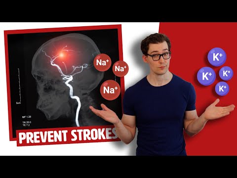 Re-Balancing One Essential Nutrient to Protect against Stroke