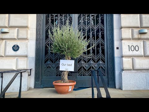 Fussy makes peace offering to Beauty bigwigs Unilever with a LARGE Olive branch 🕊