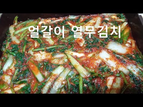 열무얼갈이김치담그기 *얼갈이열무 다듬고 절이고 씻고 양념비법까지~자세히배워요(부산아지매레시피)