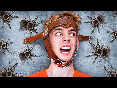 Wenn du SCHREIST, VERLIERST du!