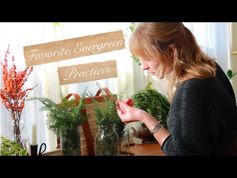 Six of My Favorite Wintertime Practices to do With Evergreens
