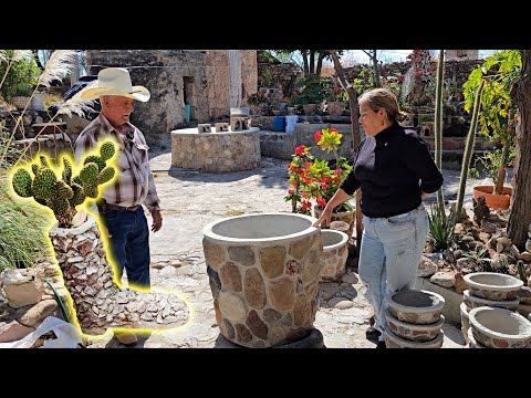 BOTAS DE PIEDRA y COLAS DE CHANGO... ESTE PATIO TIENE TODO