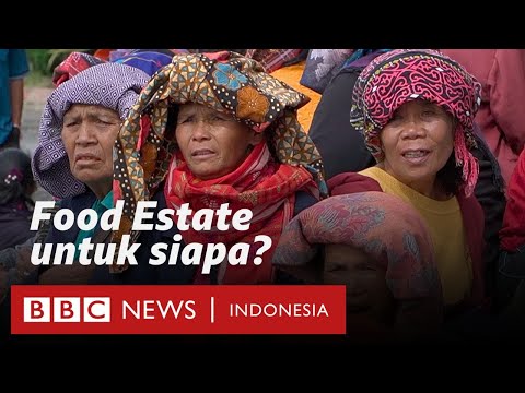 Food Estate Sumatra Utara: 'Ini lumbung pangan untuk siapa?' - BBC News Indonesia