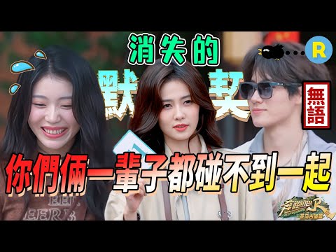 😂Kesepakatan tidak efektif! Bai Lu dan Zhang Zhenyuan kalah dari awal sampai akhir dalam cabaran ini