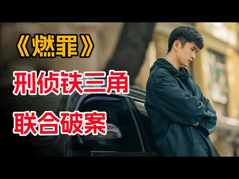 开辟了国产悬疑剧冷门赛道，在灰烬中寻找正义与真相 !一口气看完《燃罪》全集