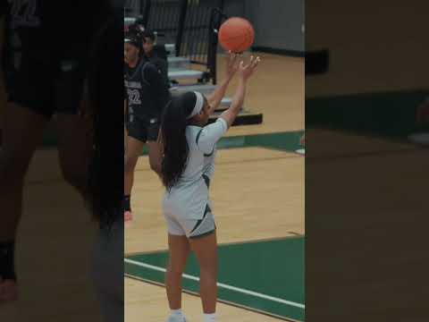 Floor General Collins