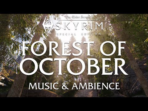 Forest of October | The Elder Scrolls V: Skyrim Atmospheric Music and Ambience