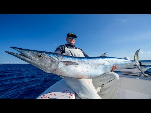 GIANT Wahoo Catch Clean Cook!