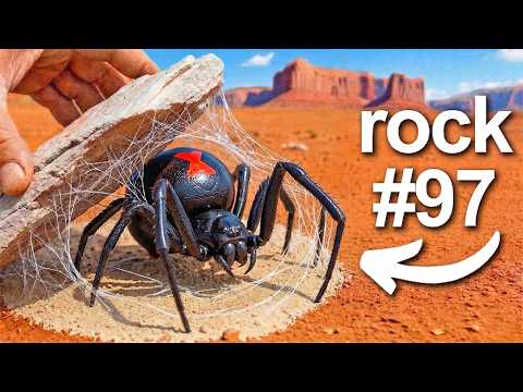 I Flipped 100 Rocks in Australia, Here's What I Found...