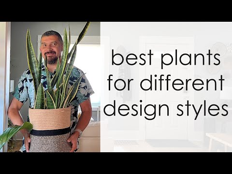 Best Plants for Different Design Styles