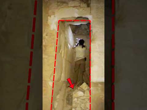 What’s Hidden Under The Rocks?