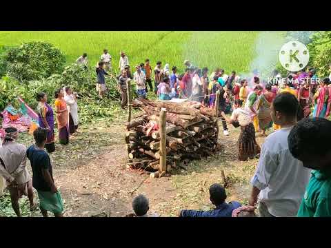 8 November 2022 Hindo ho ruang hal Part - 2