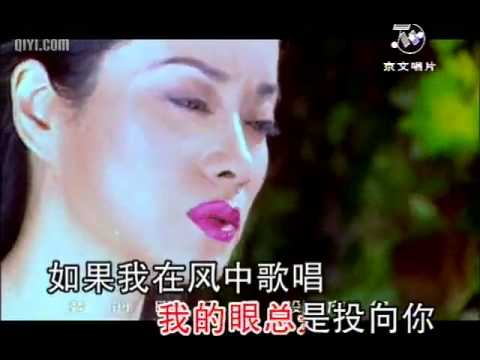 绿叶对根的情意 毛阿敏