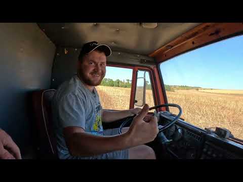 ВІДДАВ ДЖОНА І КАМАЗА НА ЗАРОБІТКИ❗️МОЛОТИМО СОЮ «ХАЙСТАР»❗️УРОЖАЮ БУТИ🔥💪