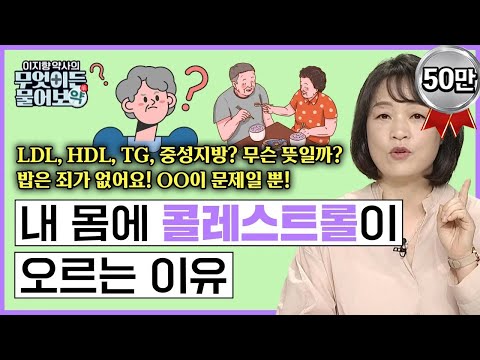LDL, HDL, TG, 중성지방? 다 무슨뜻일까? 밥은 죄가 없어요! OO이 문제일 뿐! 🔴내 몸에 콜레스트롤이 오르는 이유 [이지향 약사의 무엇이든 물어보약 5화 FULL버젼]