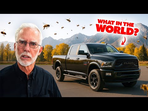 How Does THIS End Up in a Cooling System?!