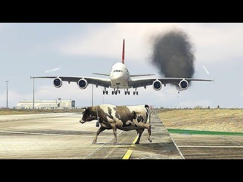 Crazy Cow Accidentally Come Runway during Airbus Emergency Landing Gtav