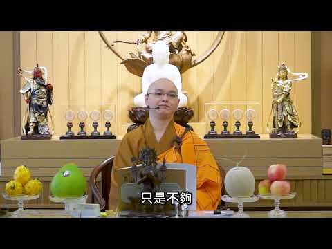 好事不得善果？是自己種善根未夠，滅業障未夠。怎樣好好處理自己的問題？：法忍法師開示【有字幕】