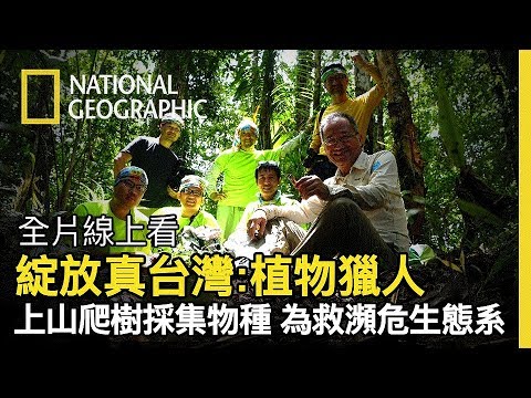 博士領著一群植物獵人，只為從索羅門群島帶回活體植物培育! 讓地球能留下雨林珍貴種源!!【綻放真台灣 終極英雄】