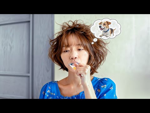 The poor girl who was cursed to turn into a dog every night.