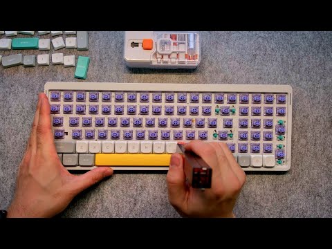 ASMR Keyboard Deep Cleaning & Switch Swap | NuPhy Air96 v2 (Wisteria to Cowberry)