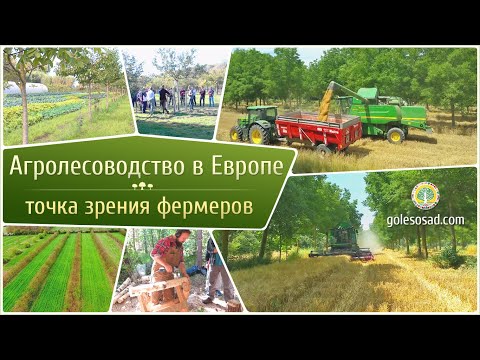 Агролесоводство в Европе! Точка зрения фермеров.