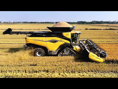 New Holland CR11 - MacDon FD230 | Fendt | Vaia | GIUPPONI F.LLI SRL