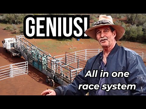 Genius Portable Cattle Race System Explained (Challa Station WA)