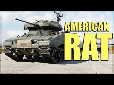 BABY BRADLEY | XM800T