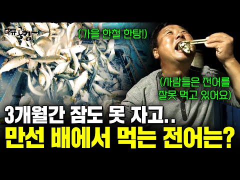 80일간 배 위에서 생활하며 잡아들인 전어. 70 노인에서 24 막내까지 다양한 어부들이 배 위에서 먹는 전어의 맛은 [다큐공감] | KBS 161008