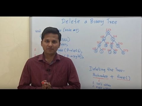 Delete a Binary Tree (all nodes in the binary tree)