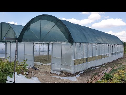 Новая теплица 20×20м. Плюс бонус для подписчиков.