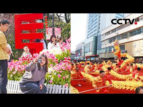 春节假期返程：全国高速公路车流量预计超6600万辆次；江苏南通：民俗巡游贺新春，喜庆热烈年味足 | CCTV「多彩春节 活力中国」20260223