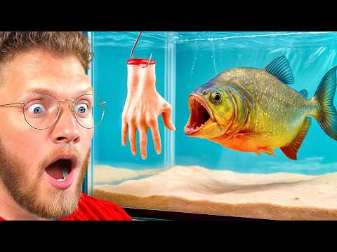 ONE HOUR of Adopting Dangerous Pets!