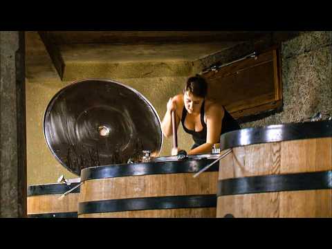 Northern Rhone Valley, Discovering The Great French Wines