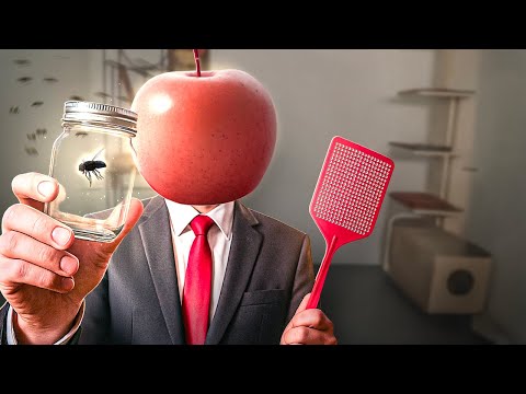 Shurjokas Fliege - Die WAHRE Geschichte von Timmy