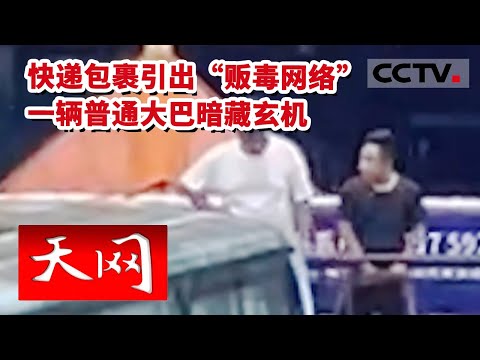 《天网》一件快递包裹竟引出隐秘的“贩毒网络“  看似普通的大巴车却暗藏玄机 揭秘大巴车的秘密20230215 | CCTV社会与法