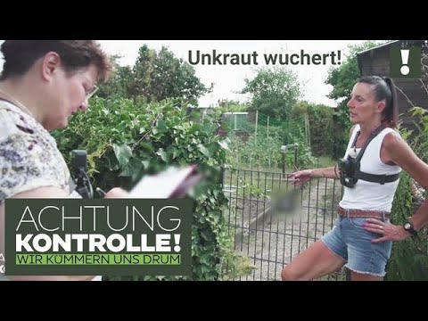"Eine Abmahnung kriegt er DEFINITIV!" 😒 Gartenlaube wird UNERLAUBT überwuchert! | Achtung Kontrolle