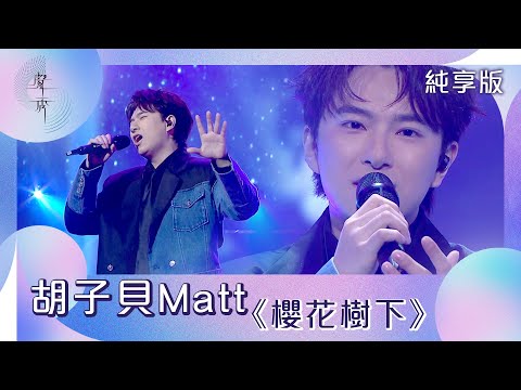 聲秀｜純享版｜胡子貝Matt《櫻花樹下》｜綜藝｜音樂｜選秀
