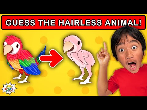Guess the Animal without fur Challenge | Ryan's World