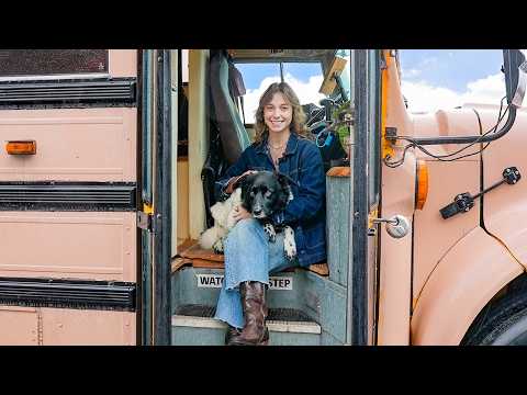 The cutest tiny home ever is inside of a pink school bus