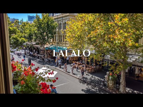 가을 어서오고🍁기분좋게 시작하는 하루, 아침에 틀어놓으면 하루종일 기분좋은 플레이리스트