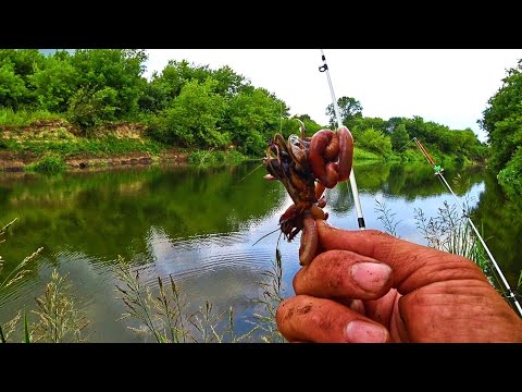 ПОПАЛСЯ МУТАНТ! НОЧЕВКА ДИКАРЁМ! ДОНКИ ПАЛАТКА И АКТИВНЫЙ КЛЁВ РЫБЫ! Рыбалка на сома 2023.