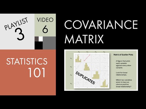 Statistics 101: The Covariance Matrix