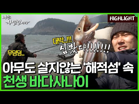 먼 옛날 해적들이 살았다고 전해지는 해적섬, 그 안에 홀로 살아가는 사람|자연인 하이라이트 128회