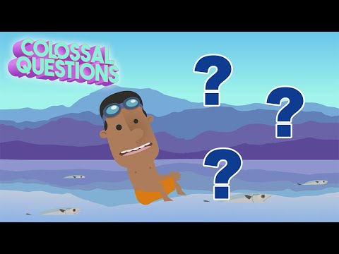 Why is the Ocean Salty? 🌊 🧂 | 10 Earth Mysteries Explained | Colossal Questions