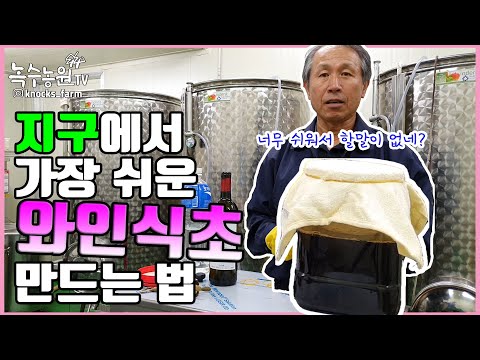 [와인식초] 집에서 만들어먹자! 우주에서 가장쉬운 와인식초 만드는 법!