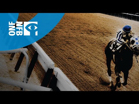 SECRETARIAT'S JOCKEY - RON TURCOTTE | Full Documentary | National Film Board of Canada