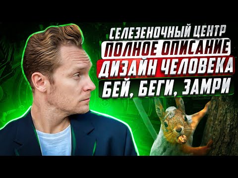 Селезёночный центр в Дизайне Человека: страхи, здоровье и интуиция | Николай Экволс